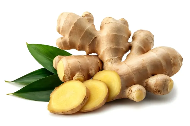 Kako rastu ovi začini? Rijetki ih mogu prepoznati samo po fotografiji biljke