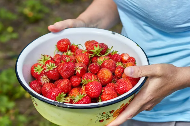 Prirodni saveznici vitke linije: Ove namirnice olak&scaron;avaju mr&scaron;avljenje