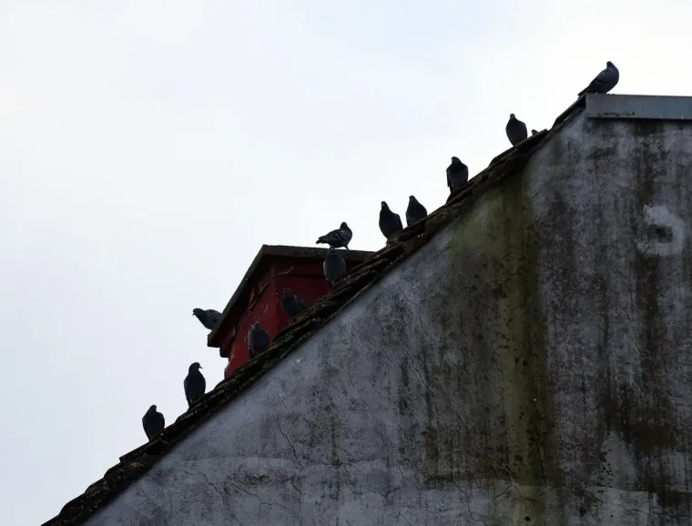 Crna bundica i bijela kolica: Ove dvije prijateljice izabrale su odličnu kombinaciju za &scaron;etnju Karlovcem