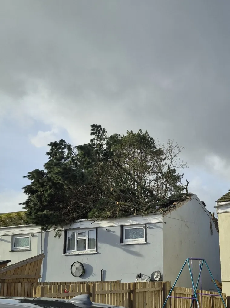 Pogledajte kakva je grdosija zdrobila kuću: 'Odjednom se dogodio taj ogroman tresak... samo sam vri&scaron;tala'