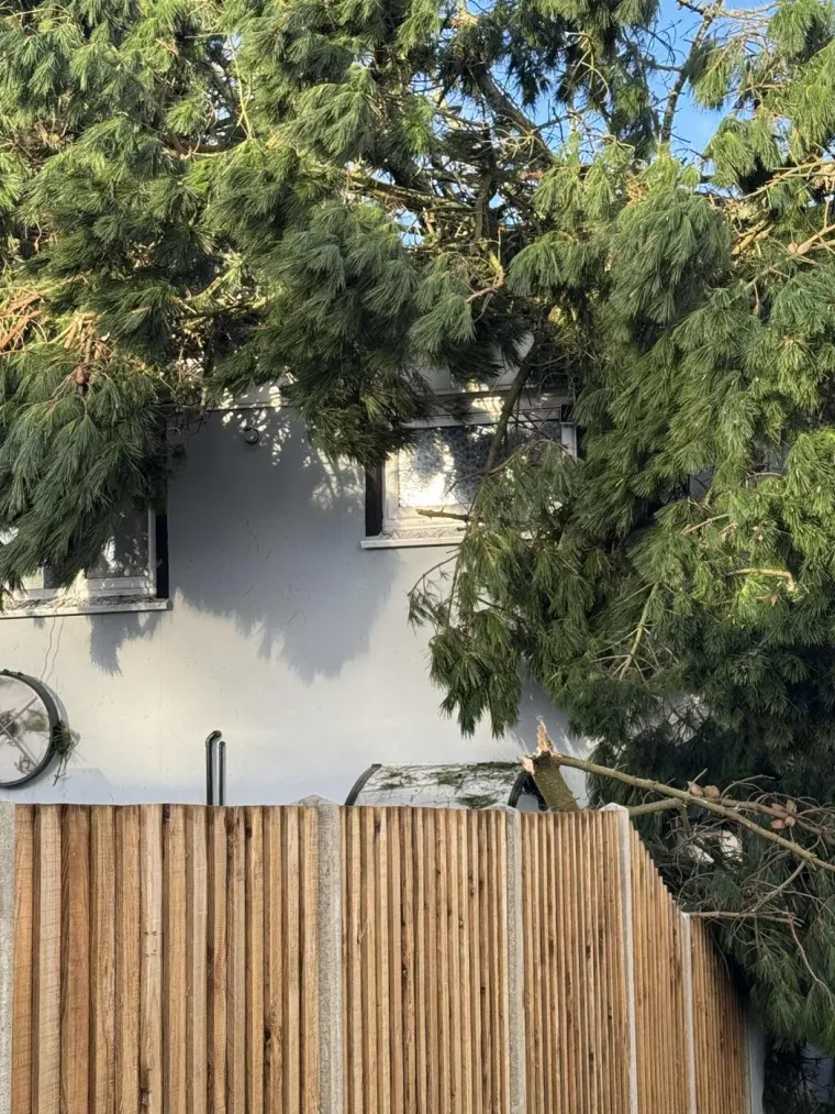 Pogledajte kakva je grdosija zdrobila kuću: 'Odjednom se dogodio taj ogroman tresak... samo sam vri&scaron;tala'