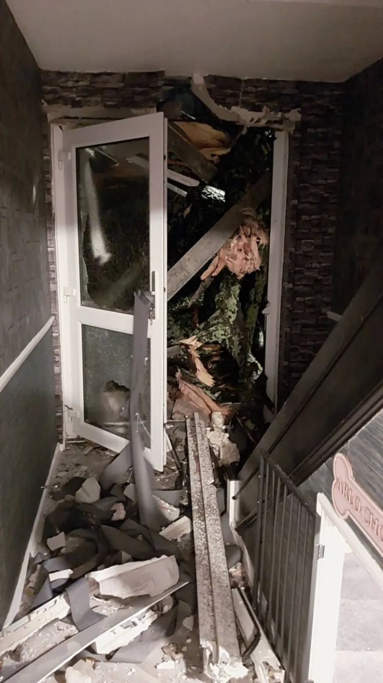 Pogledajte kakva je grdosija zdrobila kuću: 'Odjednom se dogodio taj ogroman tresak... samo sam vri&scaron;tala'