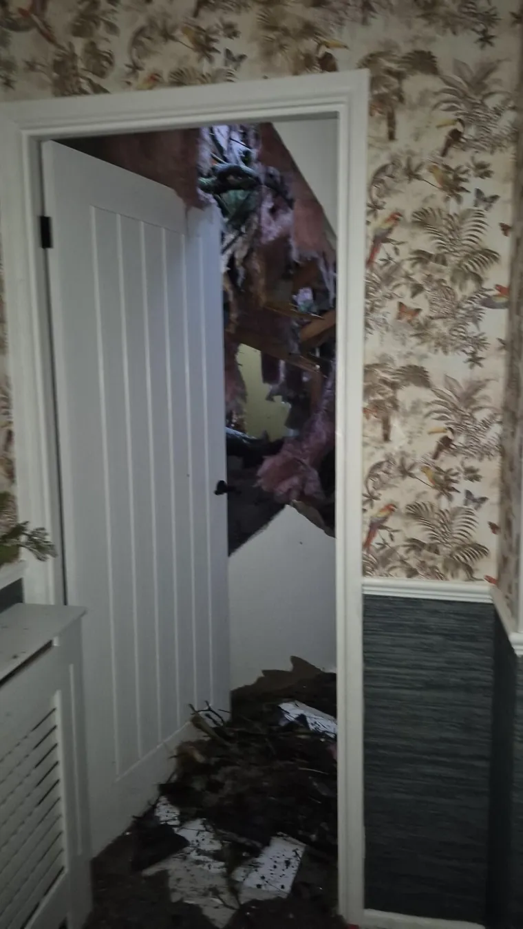 Pogledajte kakva je grdosija zdrobila kuću: 'Odjednom se dogodio taj ogroman tresak... samo sam vri&scaron;tala'