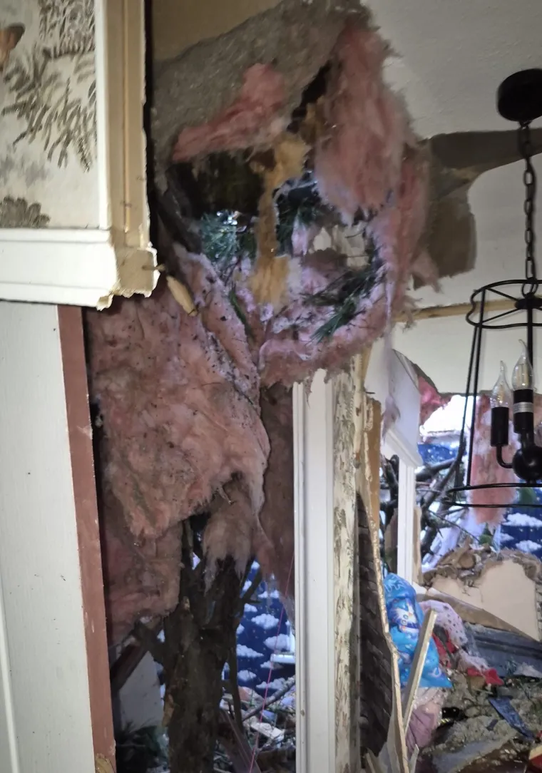 Pogledajte kakva je grdosija zdrobila kuću: 'Odjednom se dogodio taj ogroman tresak... samo sam vri&scaron;tala'