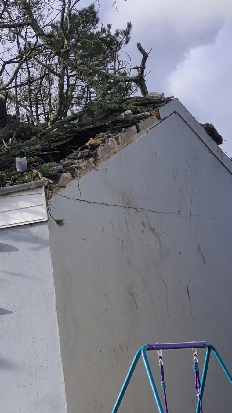 Pogledajte kakva je grdosija zdrobila kuću: 'Odjednom se dogodio taj ogroman tresak... samo sam vri&scaron;tala'