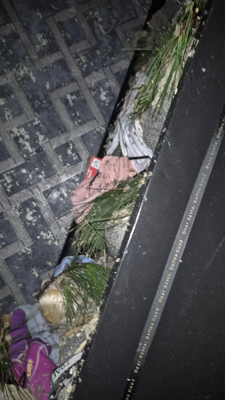 Pogledajte kakva je grdosija zdrobila kuću: 'Odjednom se dogodio taj ogroman tresak... samo sam vri&scaron;tala'