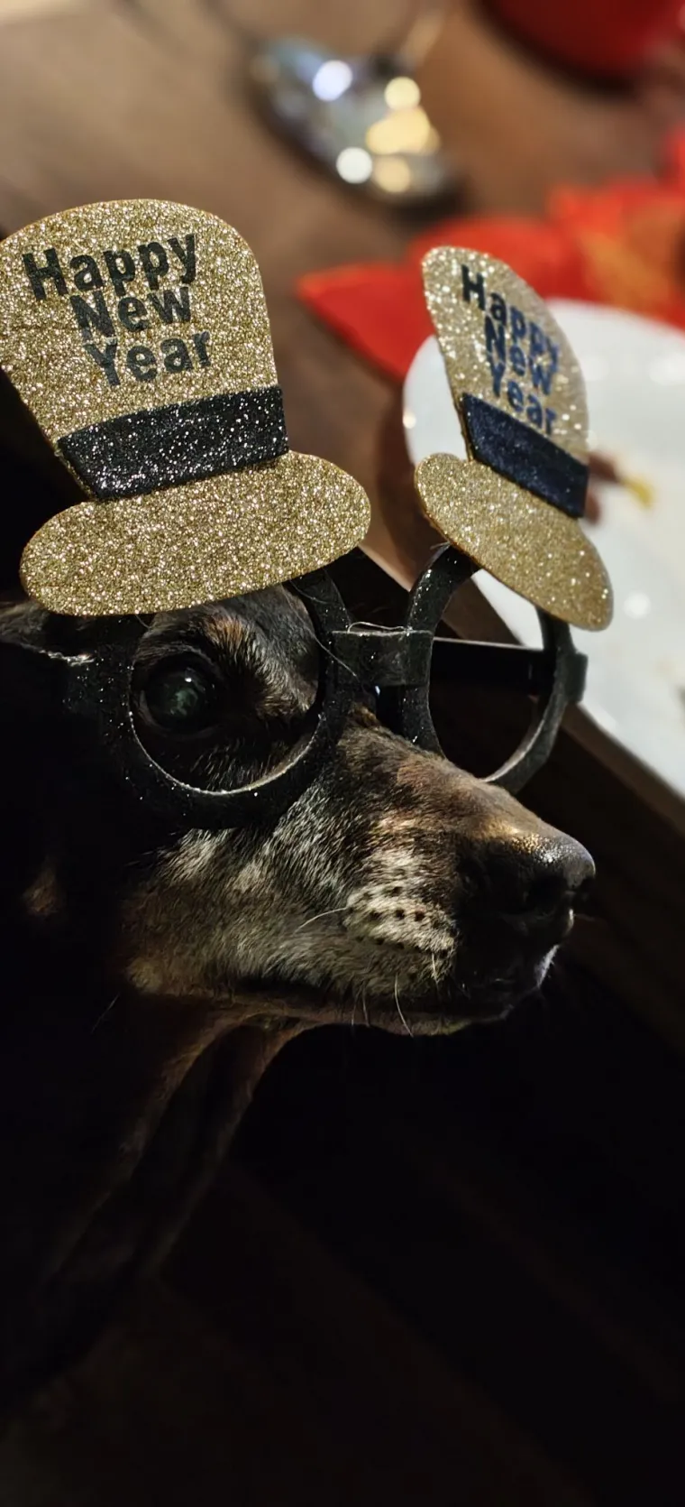 Oprez: Ove preslatke nju&scaron;ke mogle bi vam uljep&scaron;ati dan! Pogledajte koga ste nam sve poslali