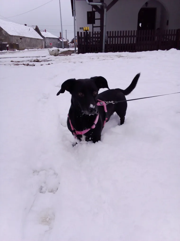 Oprez: Ove preslatke nju&scaron;ke mogle bi vam uljep&scaron;ati dan! Pogledajte koga ste nam sve poslali