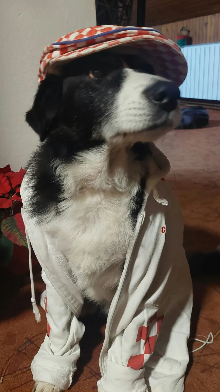 Oprez: Ove preslatke nju&scaron;ke mogle bi vam uljep&scaron;ati dan! Pogledajte koga ste nam sve poslali