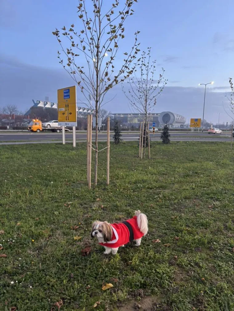 Oprez: Ove preslatke nju&scaron;ke mogle bi vam uljep&scaron;ati dan! Pogledajte koga ste nam sve poslali