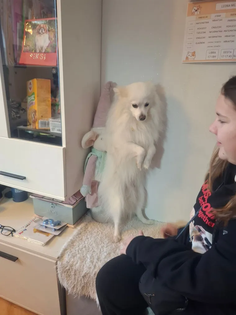 Oprez: Ove preslatke nju&scaron;ke mogle bi vam uljep&scaron;ati dan! Pogledajte koga ste nam sve poslali