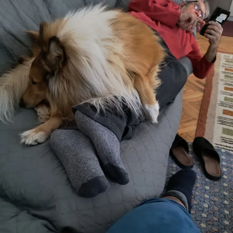 Oprez: Ove preslatke nju&scaron;ke mogle bi vam uljep&scaron;ati dan! Pogledajte koga ste nam sve poslali