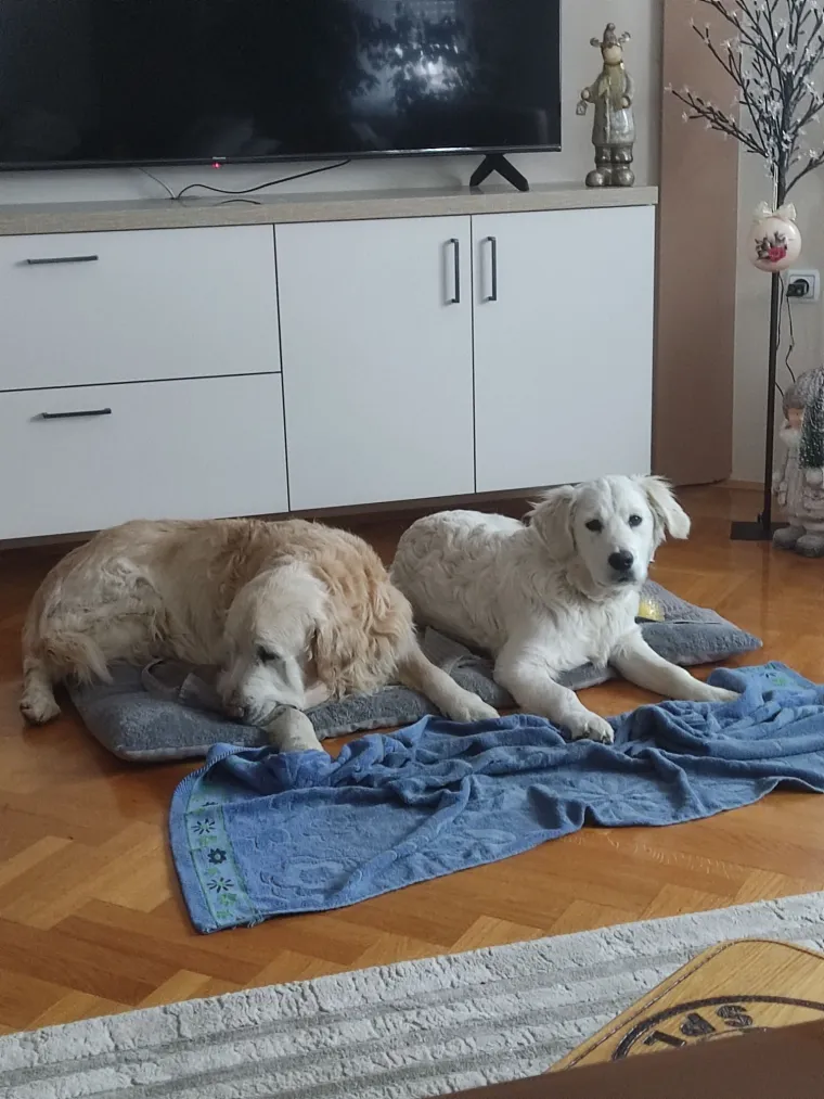 Oprez: Ove preslatke nju&scaron;ke mogle bi vam uljep&scaron;ati dan! Pogledajte koga ste nam sve poslali