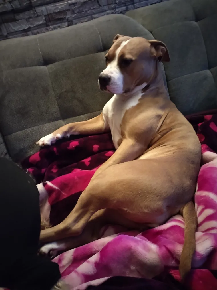 Oprez: Ove preslatke nju&scaron;ke mogle bi vam uljep&scaron;ati dan! Pogledajte koga ste nam sve poslali