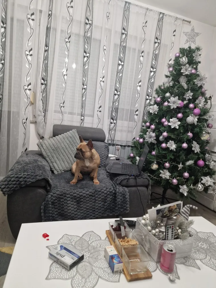 Oprez: Ove preslatke nju&scaron;ke mogle bi vam uljep&scaron;ati dan! Pogledajte koga ste nam sve poslali