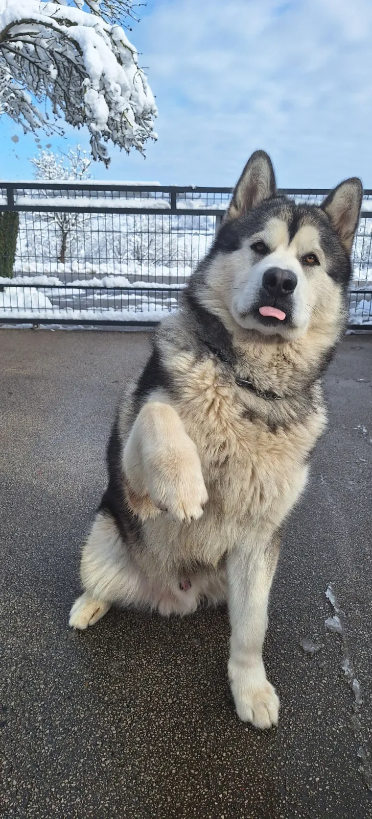 Oprez: Ove preslatke nju&scaron;ke mogle bi vam uljep&scaron;ati dan! Pogledajte koga ste nam sve poslali