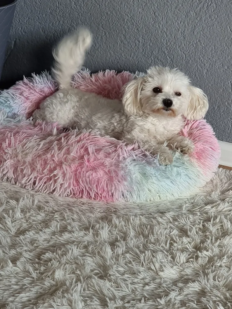 Oprez: Ove preslatke nju&scaron;ke mogle bi vam uljep&scaron;ati dan! Pogledajte koga ste nam sve poslali