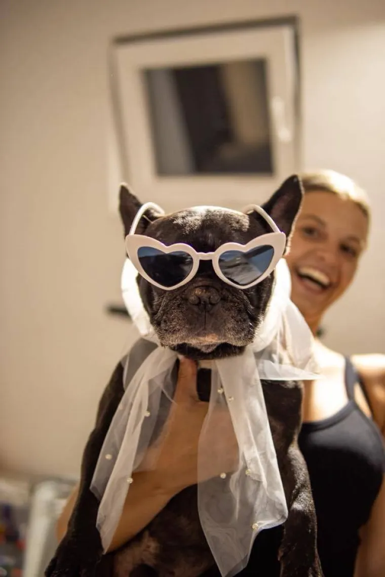 Oprez: Ove preslatke nju&scaron;ke mogle bi vam uljep&scaron;ati dan! Pogledajte koga ste nam sve poslali