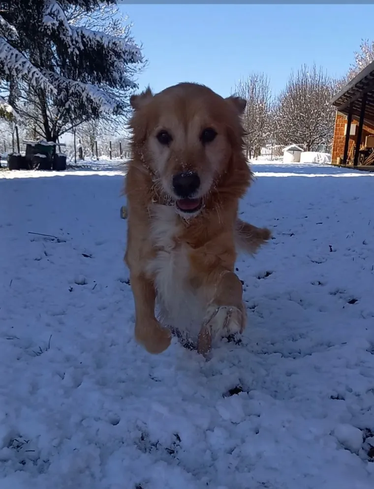 Oprez: Ove preslatke nju&scaron;ke mogle bi vam uljep&scaron;ati dan! Pogledajte koga ste nam sve poslali