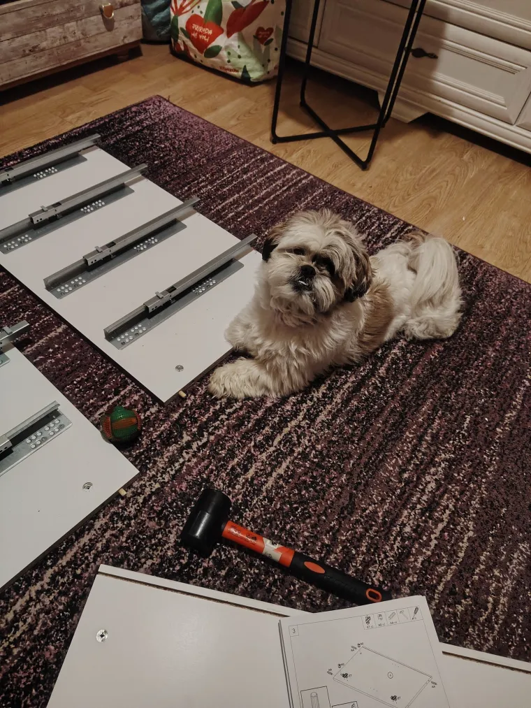 Oprez: Ove preslatke nju&scaron;ke mogle bi vam uljep&scaron;ati dan! Pogledajte koga ste nam sve poslali