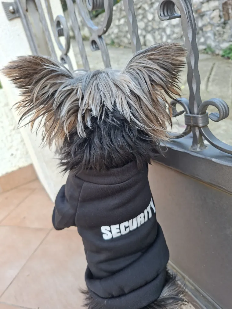 Oprez: Ove preslatke nju&scaron;ke mogle bi vam uljep&scaron;ati dan! Pogledajte koga ste nam sve poslali