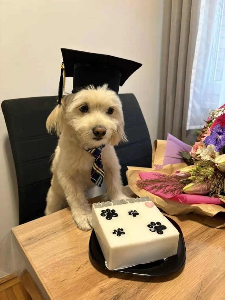 Oprez: Ove preslatke nju&scaron;ke mogle bi vam uljep&scaron;ati dan! Pogledajte koga ste nam sve poslali