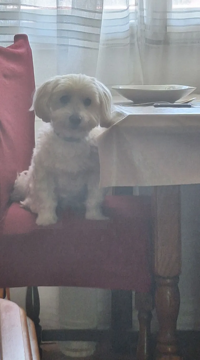 Oprez: Ove preslatke nju&scaron;ke mogle bi vam uljep&scaron;ati dan! Pogledajte koga ste nam sve poslali