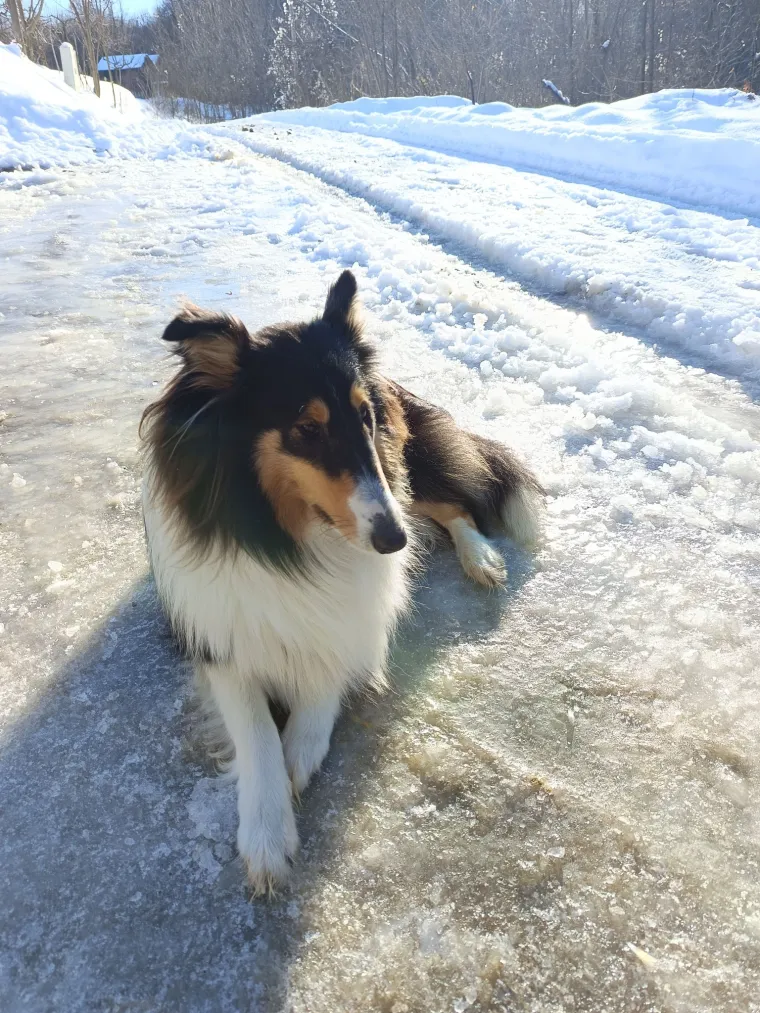 Oprez: Ove preslatke nju&scaron;ke mogle bi vam uljep&scaron;ati dan! Pogledajte koga ste nam sve poslali