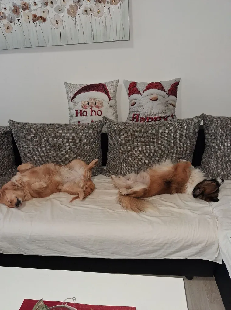 Oprez: Ove preslatke nju&scaron;ke mogle bi vam uljep&scaron;ati dan! Pogledajte koga ste nam sve poslali