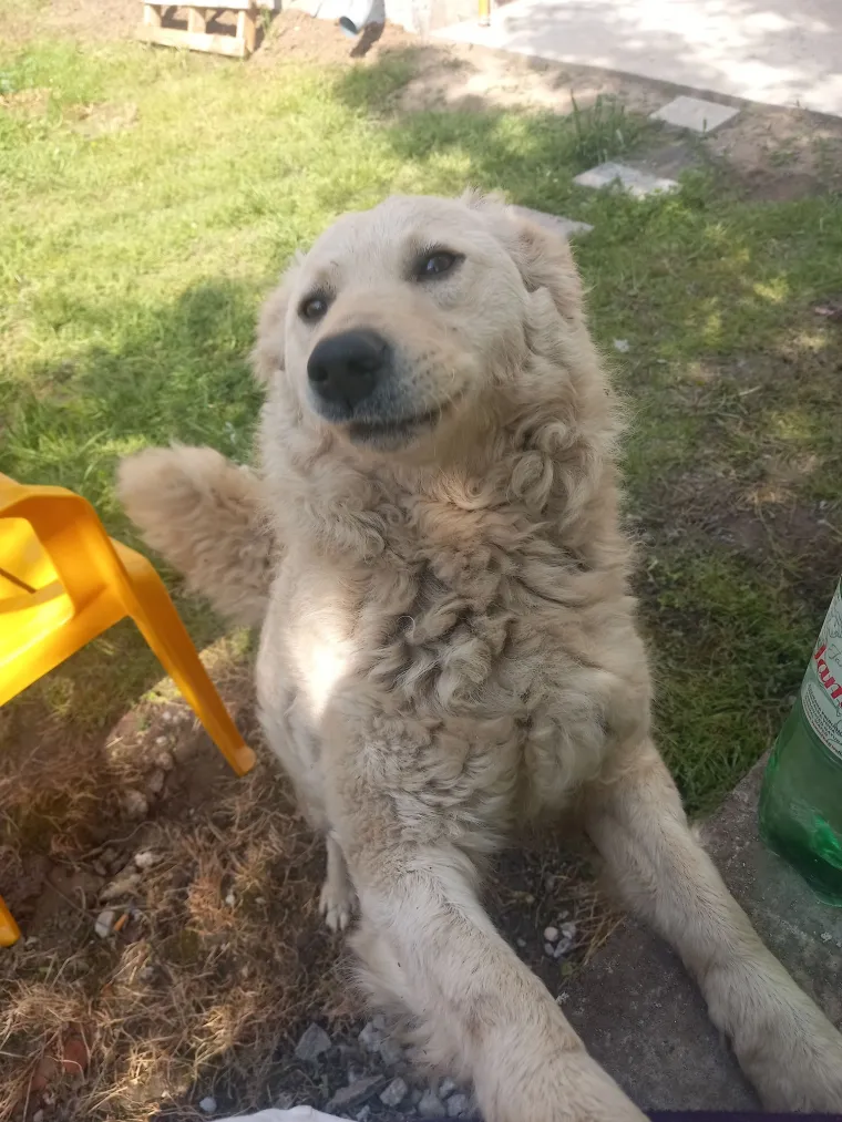 Oprez: Ove preslatke nju&scaron;ke mogle bi vam uljep&scaron;ati dan! Pogledajte koga ste nam sve poslali