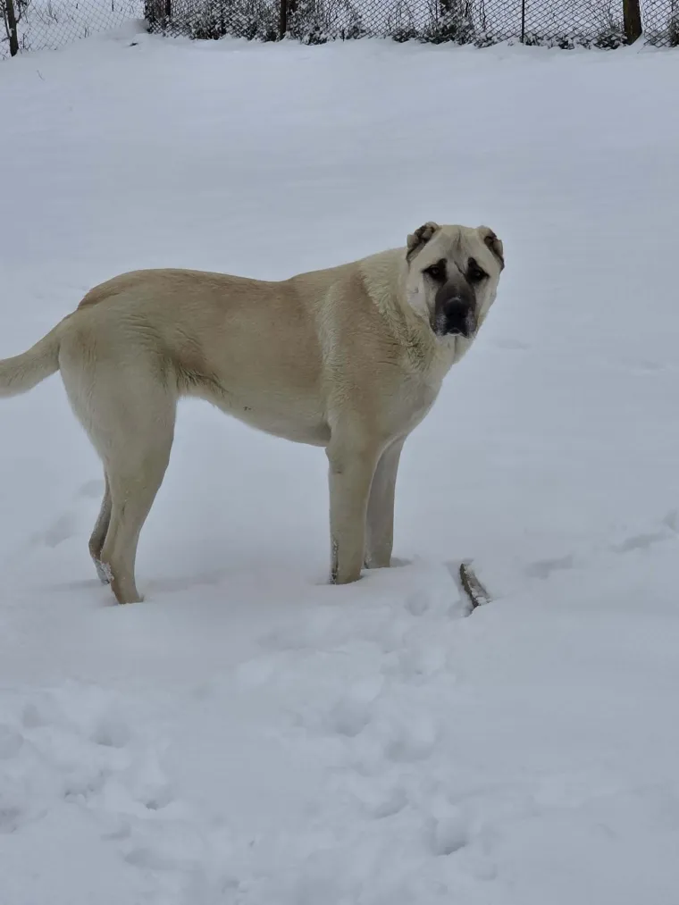 Oprez: Ove preslatke nju&scaron;ke mogle bi vam uljep&scaron;ati dan! Pogledajte koga ste nam sve poslali