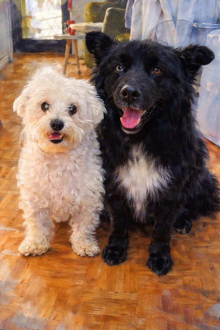 Oprez: Ove preslatke nju&scaron;ke mogle bi vam uljep&scaron;ati dan! Pogledajte koga ste nam sve poslali