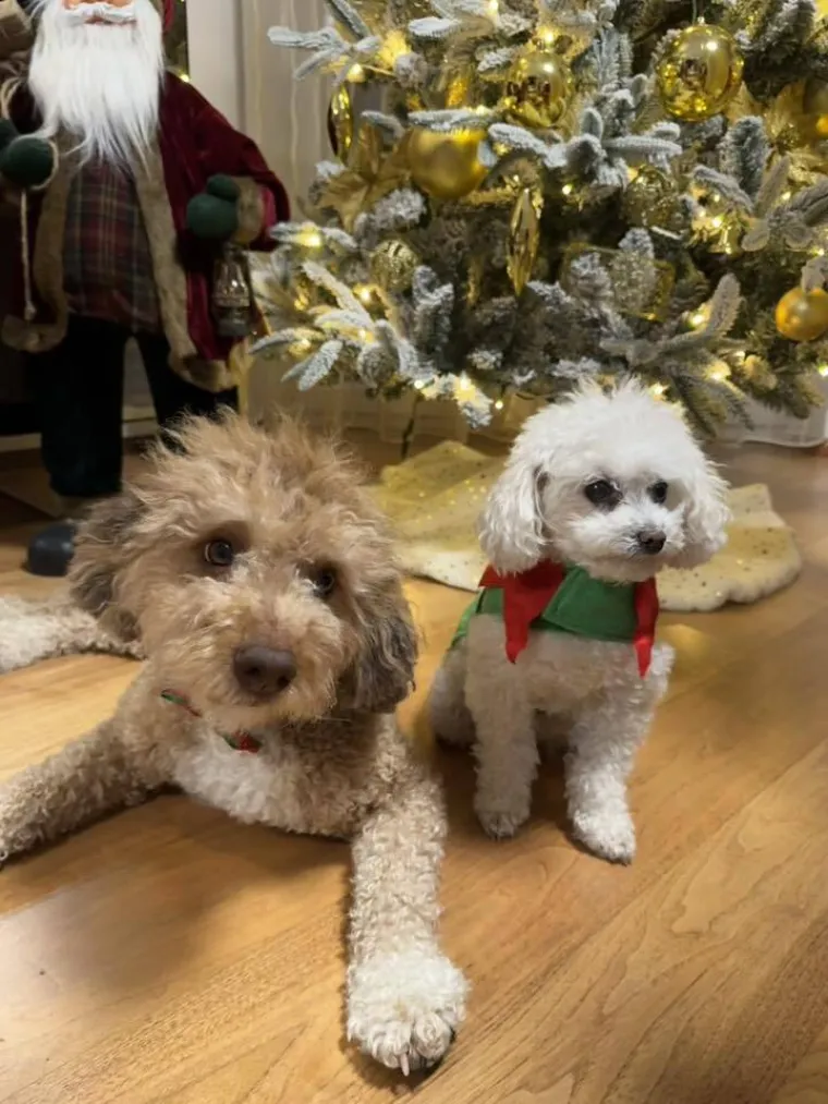 Oprez: Ove preslatke nju&scaron;ke mogle bi vam uljep&scaron;ati dan! Pogledajte koga ste nam sve poslali