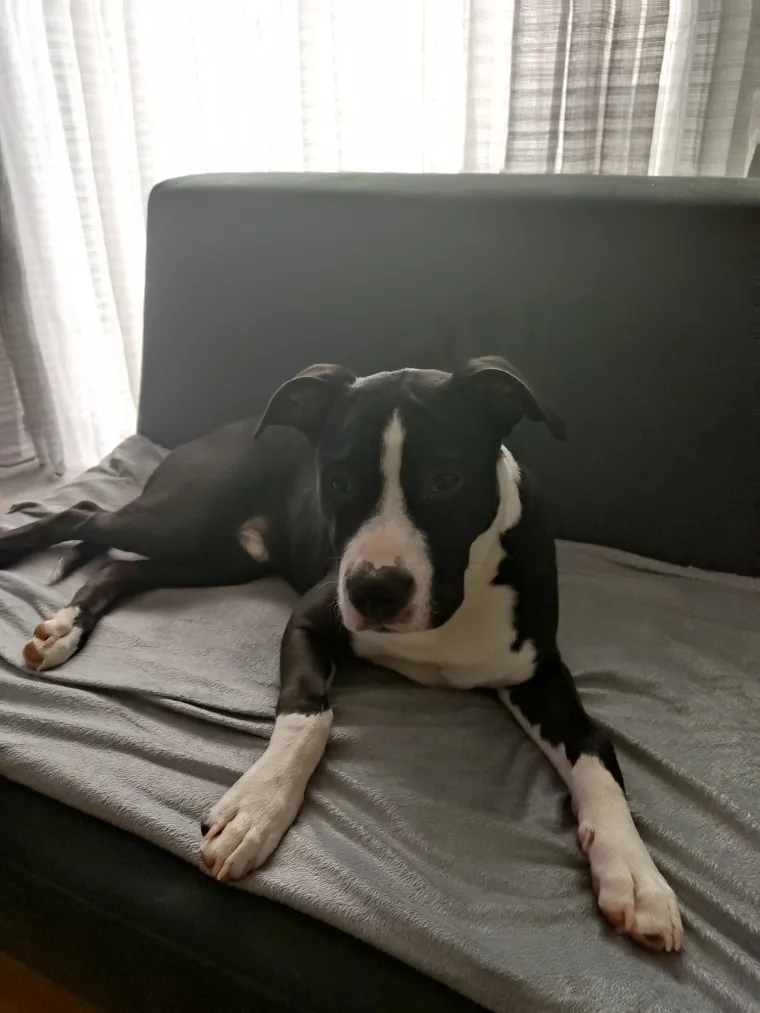 Oprez: Ove preslatke nju&scaron;ke mogle bi vam uljep&scaron;ati dan! Pogledajte koga ste nam sve poslali