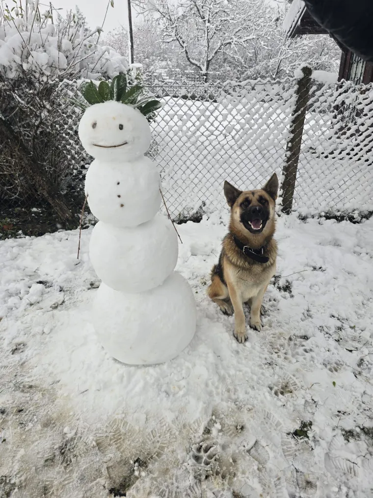 Oprez: Ove preslatke nju&scaron;ke mogle bi vam uljep&scaron;ati dan! Pogledajte koga ste nam sve poslali