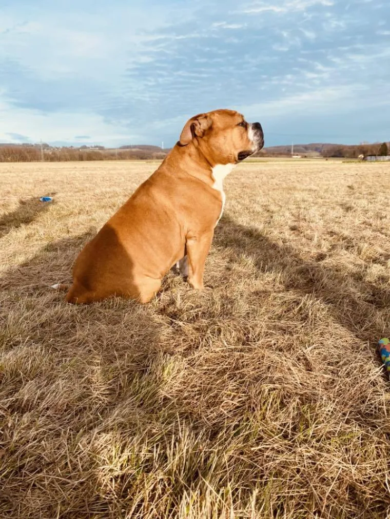 Oprez: Ove preslatke nju&scaron;ke mogle bi vam uljep&scaron;ati dan! Pogledajte koga ste nam sve poslali