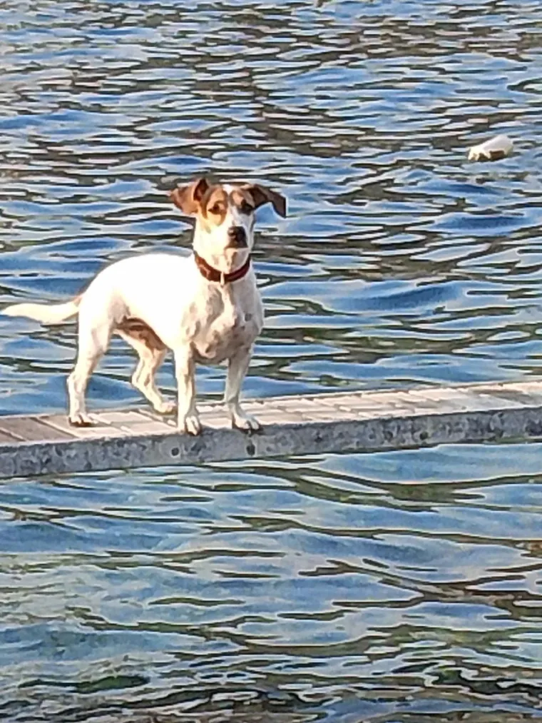 Oprez: Ove preslatke nju&scaron;ke mogle bi vam uljep&scaron;ati dan! Pogledajte koga ste nam sve poslali