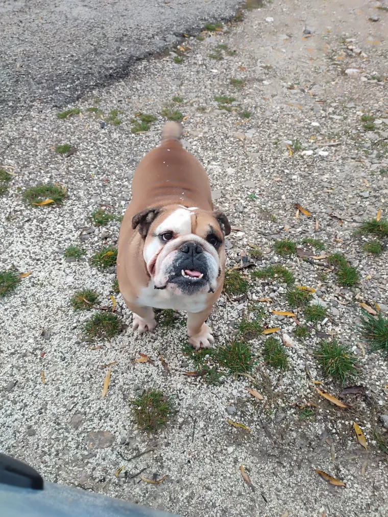 Oprez: Ove preslatke nju&scaron;ke mogle bi vam uljep&scaron;ati dan! Pogledajte koga ste nam sve poslali