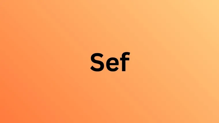 Zna&scaron; li &scaron;to znače ove hrvatske novotvorenice? Dokaži nam da zaslužuje&scaron; osjećanik koji se smije&scaron;i