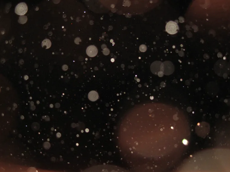 Znanost ima obja&scaron;njenje za ovaj fenomen. Ovo je 14 razloga za&scaron;to ljudi vide duhove