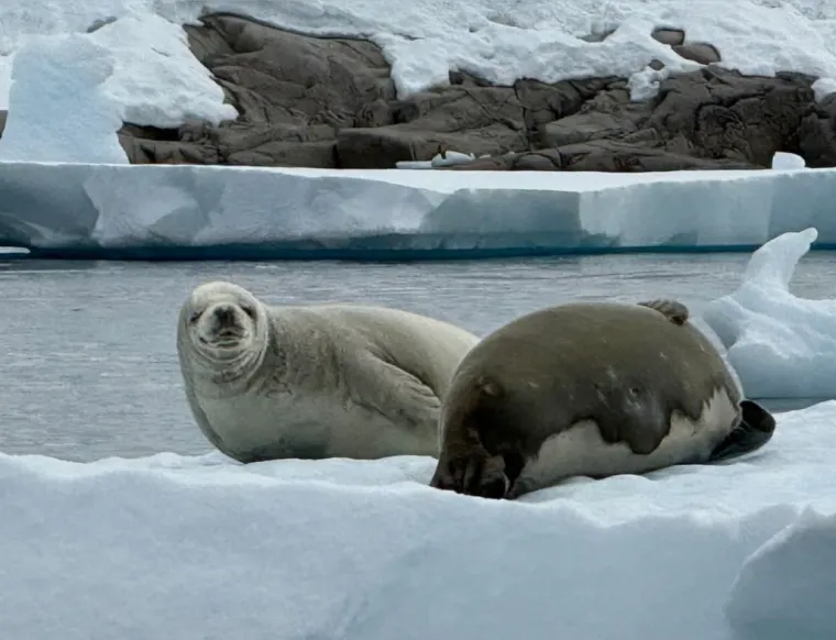Ovako Kolinda uživa na Antarktici, na&scaron; poznati putopisac objavio prizore koji ostavljaju bez daha