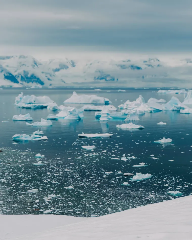 Ovako Kolinda uživa na Antarktici, na&scaron; poznati putopisac objavio prizore koji ostavljaju bez daha