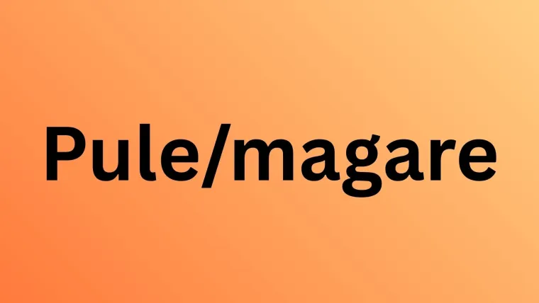 Svi moraju imati barem osam točnih na pitanjima o nazivima mladunaca domaćih životinja