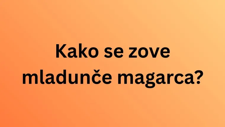 Svi moraju imati barem osam točnih na pitanjima o nazivima mladunaca domaćih životinja