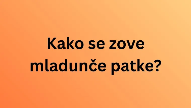 Svi moraju imati barem osam točnih na pitanjima o nazivima mladunaca domaćih životinja