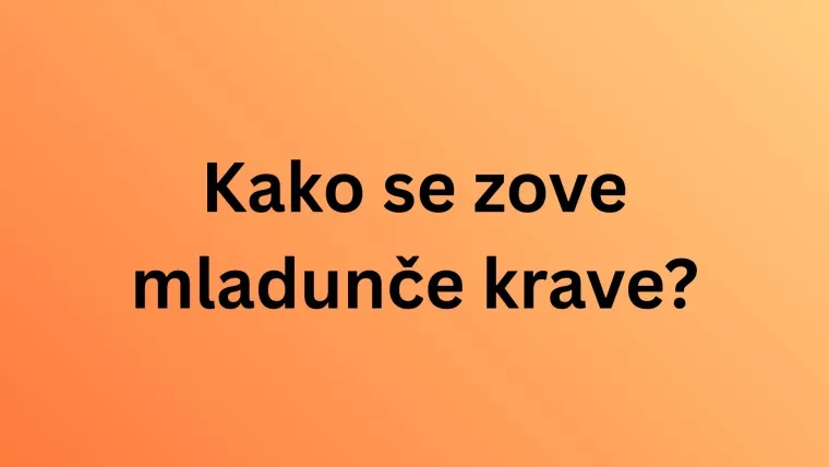 Svi moraju imati barem osam točnih na pitanjima o nazivima mladunaca domaćih životinja