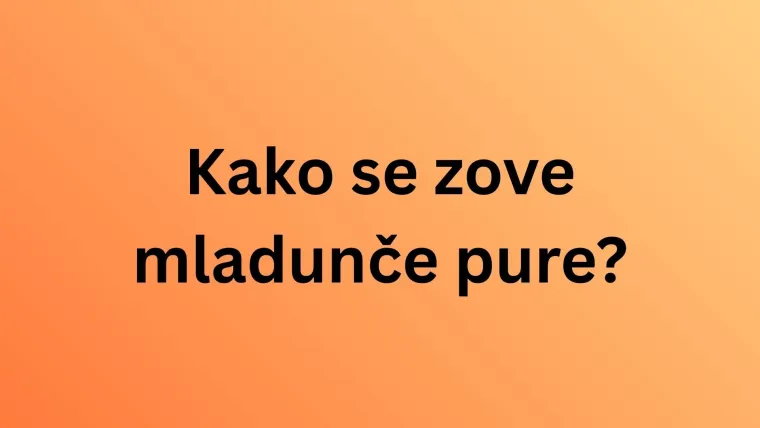 Svi moraju imati barem osam točnih na pitanjima o nazivima mladunaca domaćih životinja