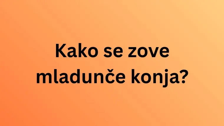 Svi moraju imati barem osam točnih na pitanjima o nazivima mladunaca domaćih životinja