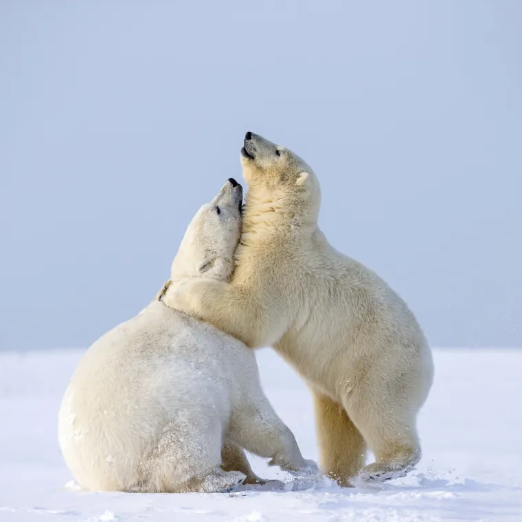 Okice, osmjesi i &scaron;ape oko vrata: Ovi preslatki zagrljaji rastopit će i ona najtvrđa srca