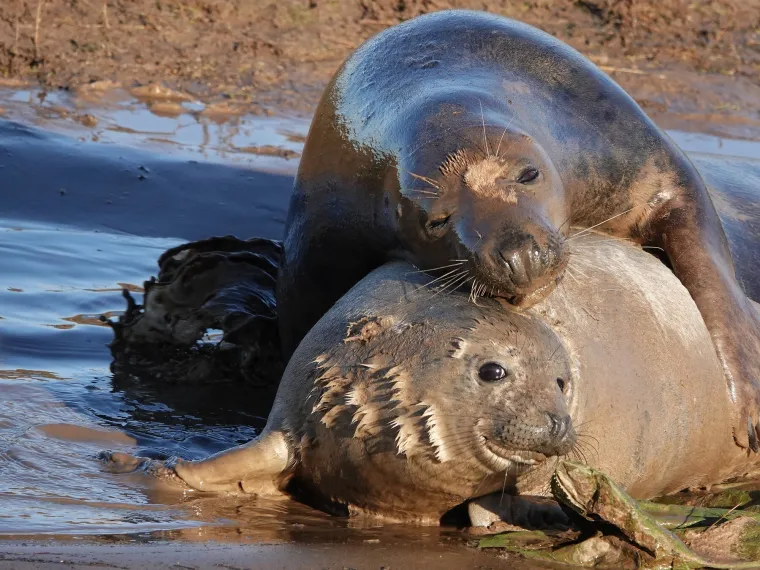 Okice, osmjesi i &scaron;ape oko vrata: Ovi preslatki zagrljaji rastopit će i ona najtvrđa srca